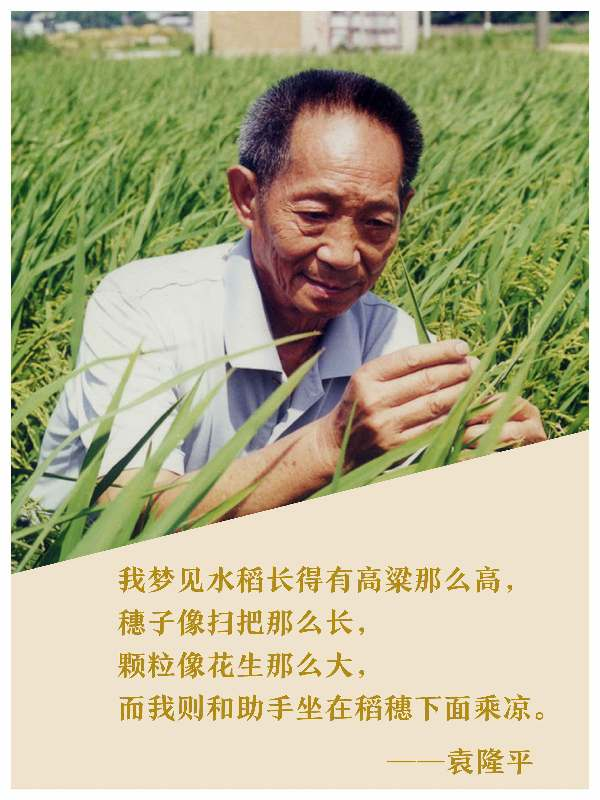 湖南銀河電氣有限公司舉行袁隆平院士追思會 湖南銀河電氣有限公司舉行袁隆平院士追思會