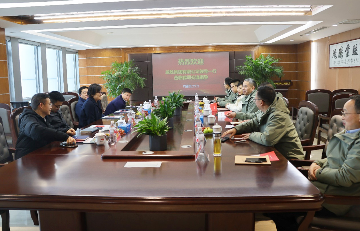 威勝集團訪問湖南銀河電氣有限公司