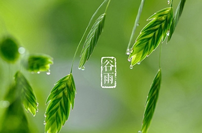 谷雨，播種希望