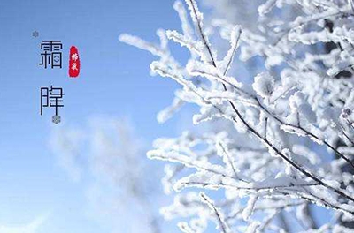 葉落草枯，秋晚凝霜