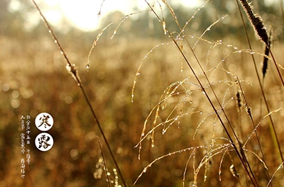 寒露已至，注意添衣防寒