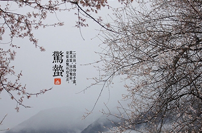 春雷起，驚蟄出
